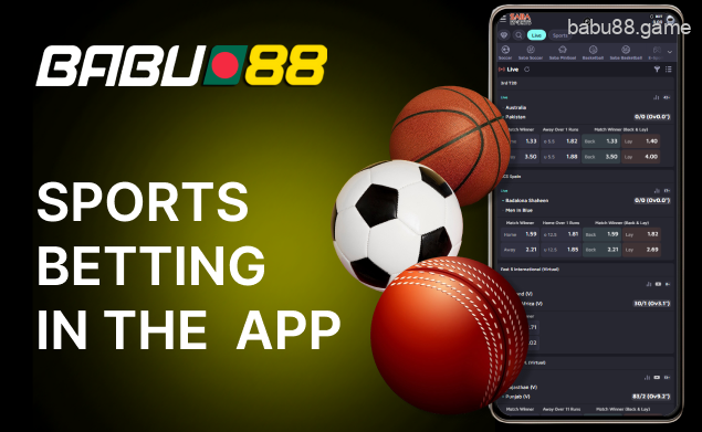 Sports betting offers you 40 sports in the Babu88 App