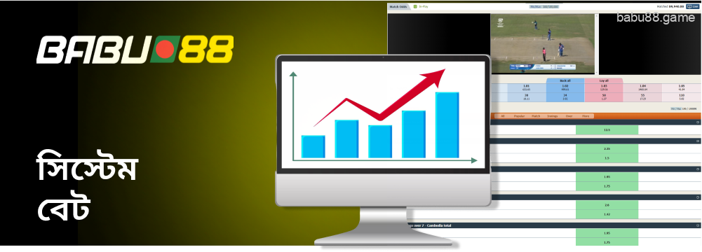 আপনি Babu88 তে একটি সিস্টেম বেট করতে পারেন।