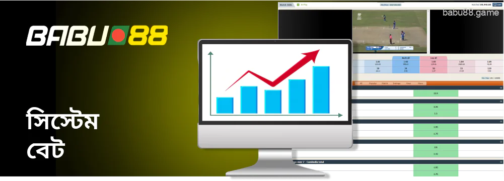 আপনি Babu88 তে একটি সিস্টেম বেট করতে পারেন।